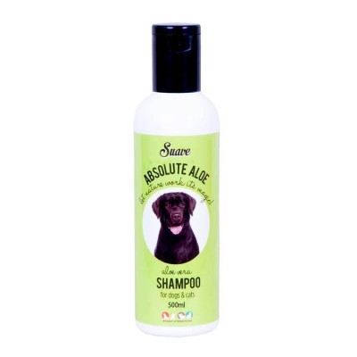 Bharat International Natural Aloevera Shampoo 500ml